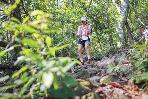 BIB: 
                            <button type="button" onclick="openModal(27699603)" class="btn btn-primary btn-sm float-right btn-popup" data-toggle="modal" data-target=".modal-high-quality">
                        <i class="fas fa-shopping-cart"></i> Add to Cart
                    </button>
                                            <button type="button" onclick="isThisMe(27699603, true)" class="btn btn-success btn-sm float-right btn-popup btn-isme hidden" data-toggle="tooltip" data-placement="bottom" title="นี่คือรูปของคุณใช่ไหม คลิกที่นี่เพื่อเอาเข้าอัลบั้ม">
                        <i class="fas fa-plus"></i> Add to album
                    </button>
                    <button type="button" onclick="isThisMe(27699603, false)" class="btn btn-warning btn-sm float-right btn-popup btn-isnotme hidden">
                        <i class="fas fa-ban"></i> Remove from album
                    </button>